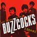 The Buzzcocks